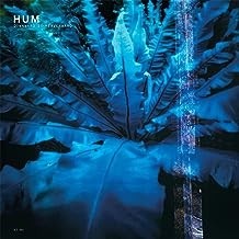 Hum -  Downward Is Heavenward (2023)