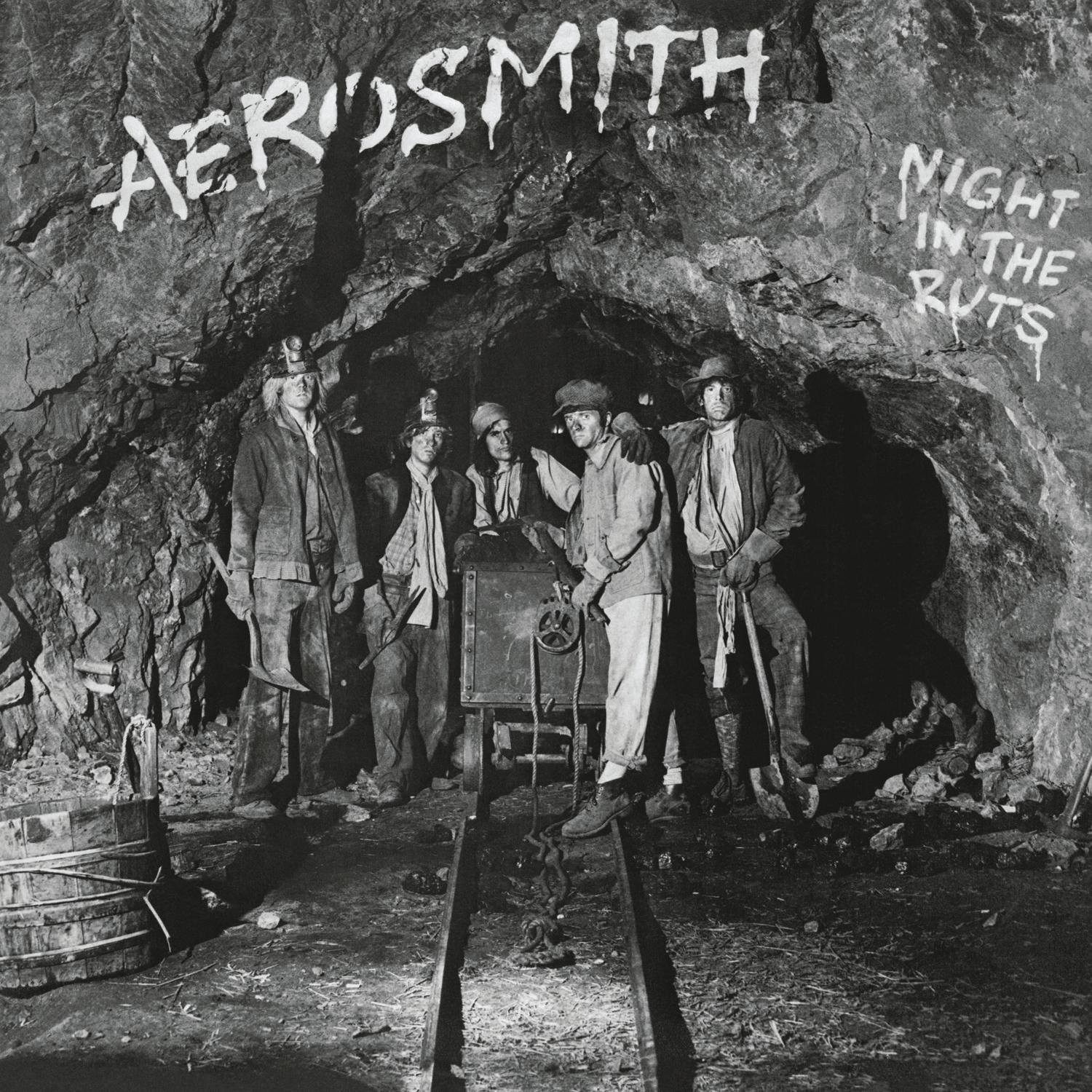 Aerosmith - Night in the Ruts Vinyl LP