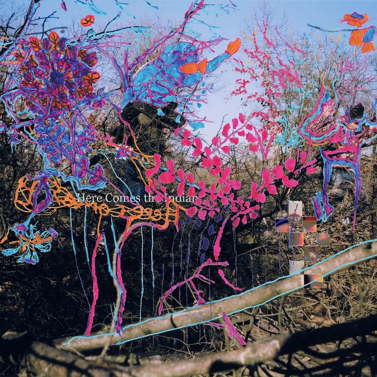 Animal Collective - Here Comes The Indian LP