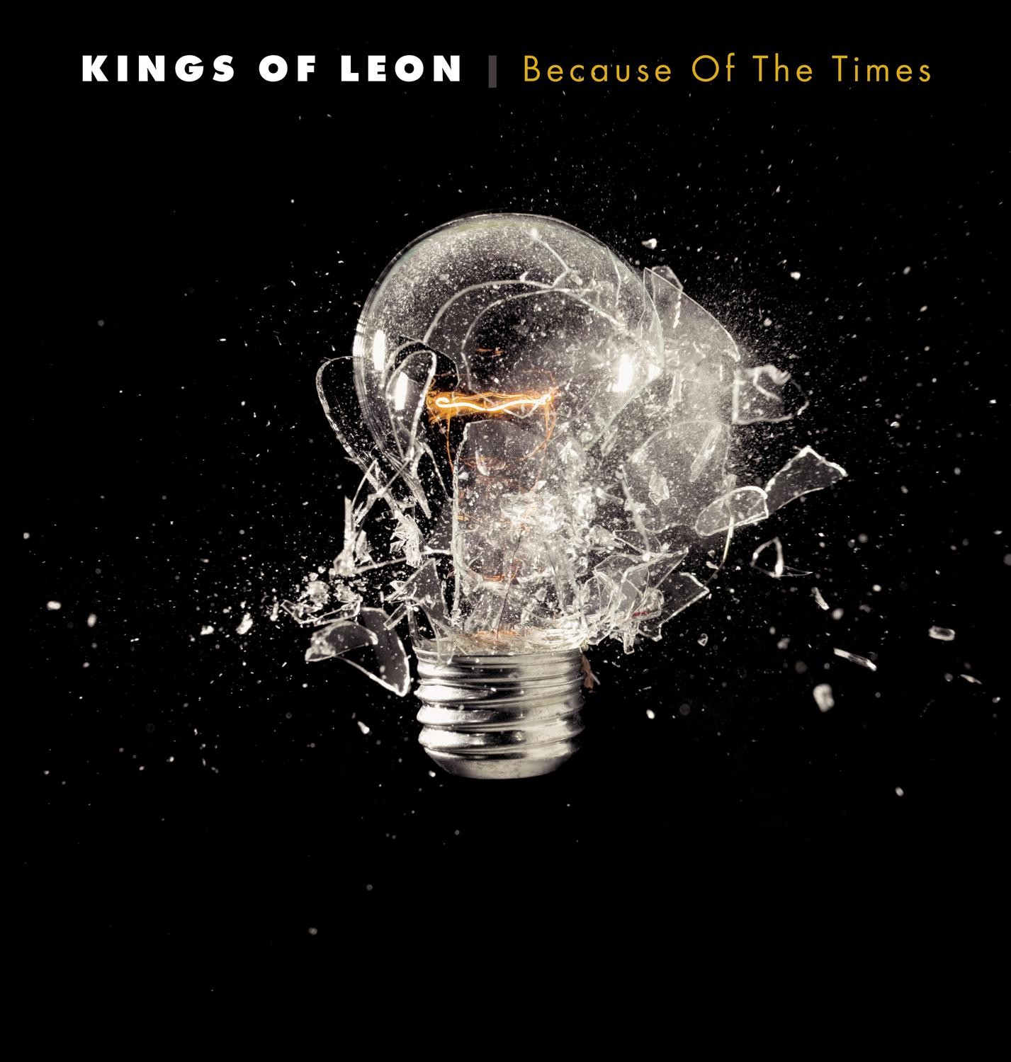 Kings Of Leon - Because Of The Times 2XLP