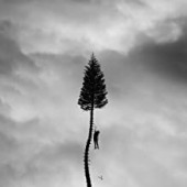 Manchester Orchestra - A Black Mile To The Surface (Grey Vinyl)