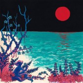 Glass Beach - the first glass beach album (Colored) 2XLP
