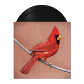 Alexisonfire - Old Crows / Young Cardinals 2XLP Vinyl