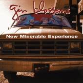 Gin Blossoms - New Miserable Experience 2XLP