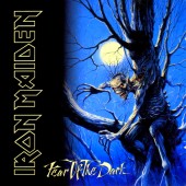Iron Maiden - Fear of the Dark 2XLP