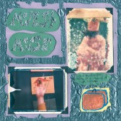 Modest Mouse - Sad Sappy Sucker LP