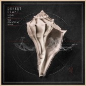 Robert Plant - lullaby and... The Ceaseless Roar 2XLP