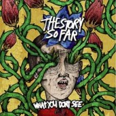 The Story So Far - What You Don't See LP