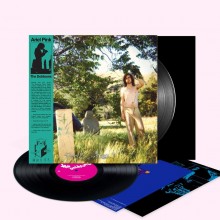 Ariel Pink - The Doldrums 2XLP Vinyl