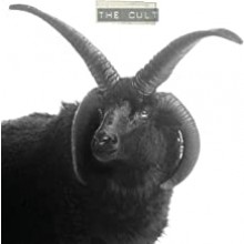  The Cult -  The Cult