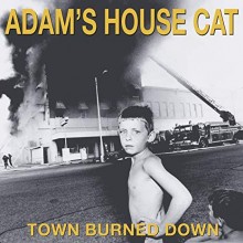 Adam's House Cat - Town Burned Down Vinyl LP