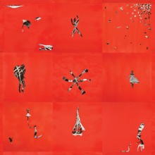Animal Collective - Hollindagain LP