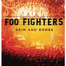 Foo Fighters - Skin And Bones LP