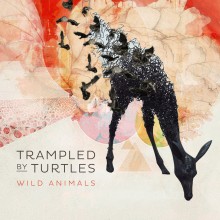 Trampled By Turtles - Wild Animals LP