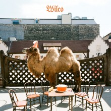 Wilco - Wilco [the album] (Picture Disc) LP